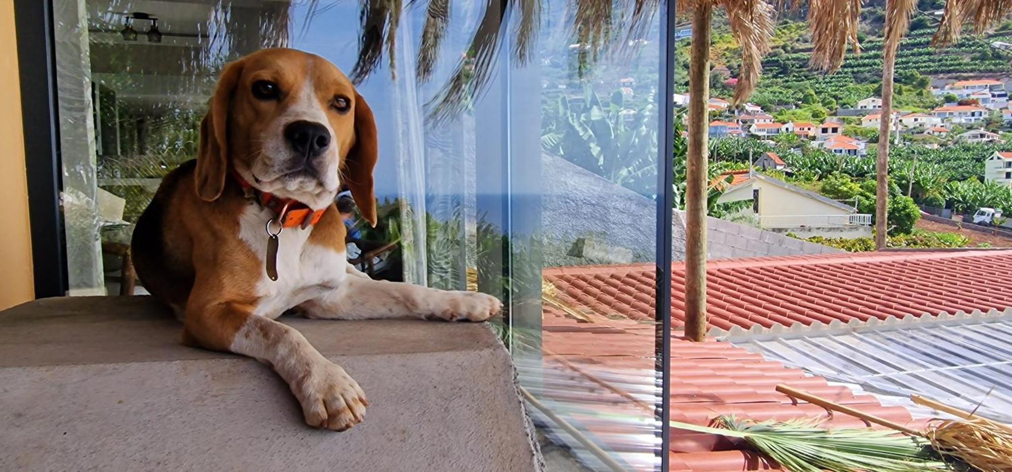 阿科达卡列塔Torre Bella Gardens别墅 外观 照片